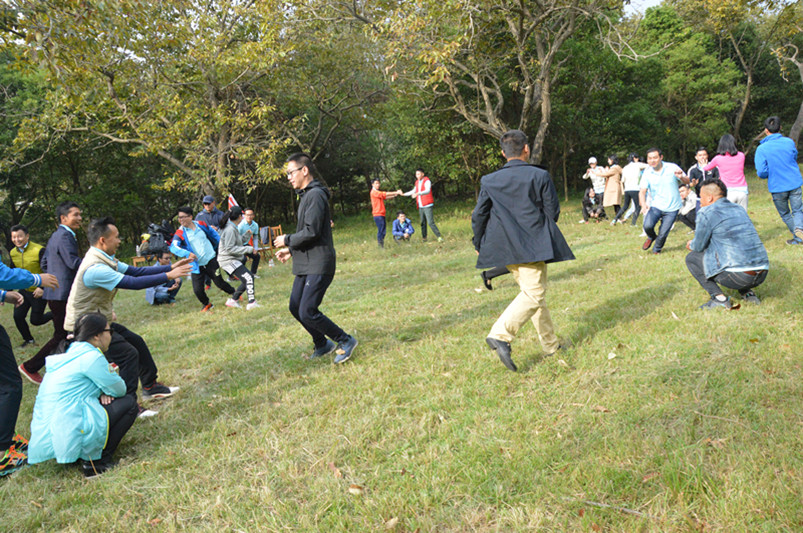 大樹(shù)與松鼠(1)_副本.jpg 大樹(shù)與松鼠(1)_副本.jpg